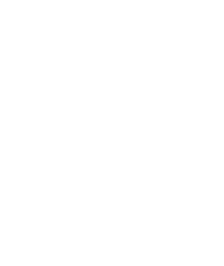 Škoda engine remapping