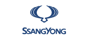remap-your-ssangyong